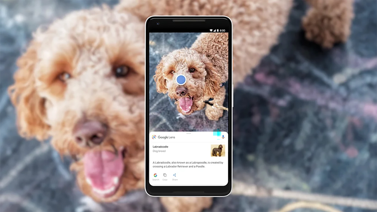 cach su dung google lens tren dien thoai va may tinh hinh 9