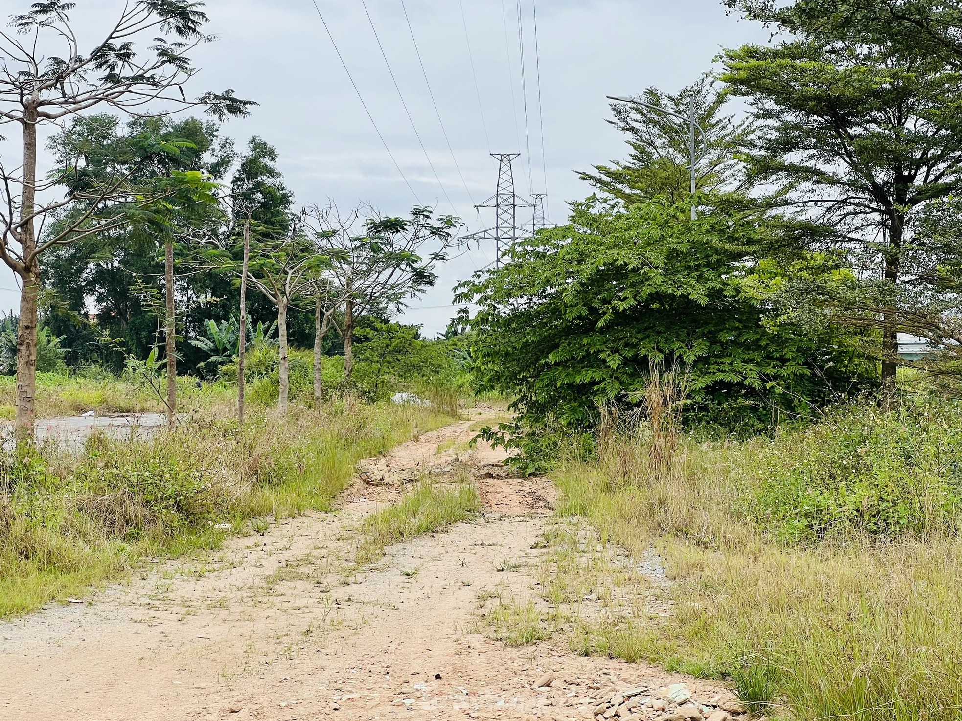 Pasto crecido y basura acumulada en un proyecto residencial de 400 mil millones de dólares en Quang Ngai, foto 17