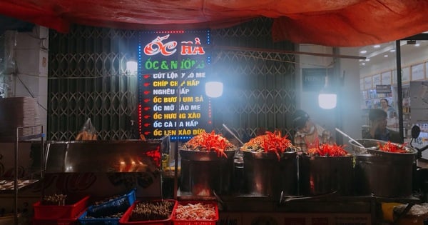 Orte, an denen Sie in Da Nang „köstliche und würzige“ Schnecken genießen können