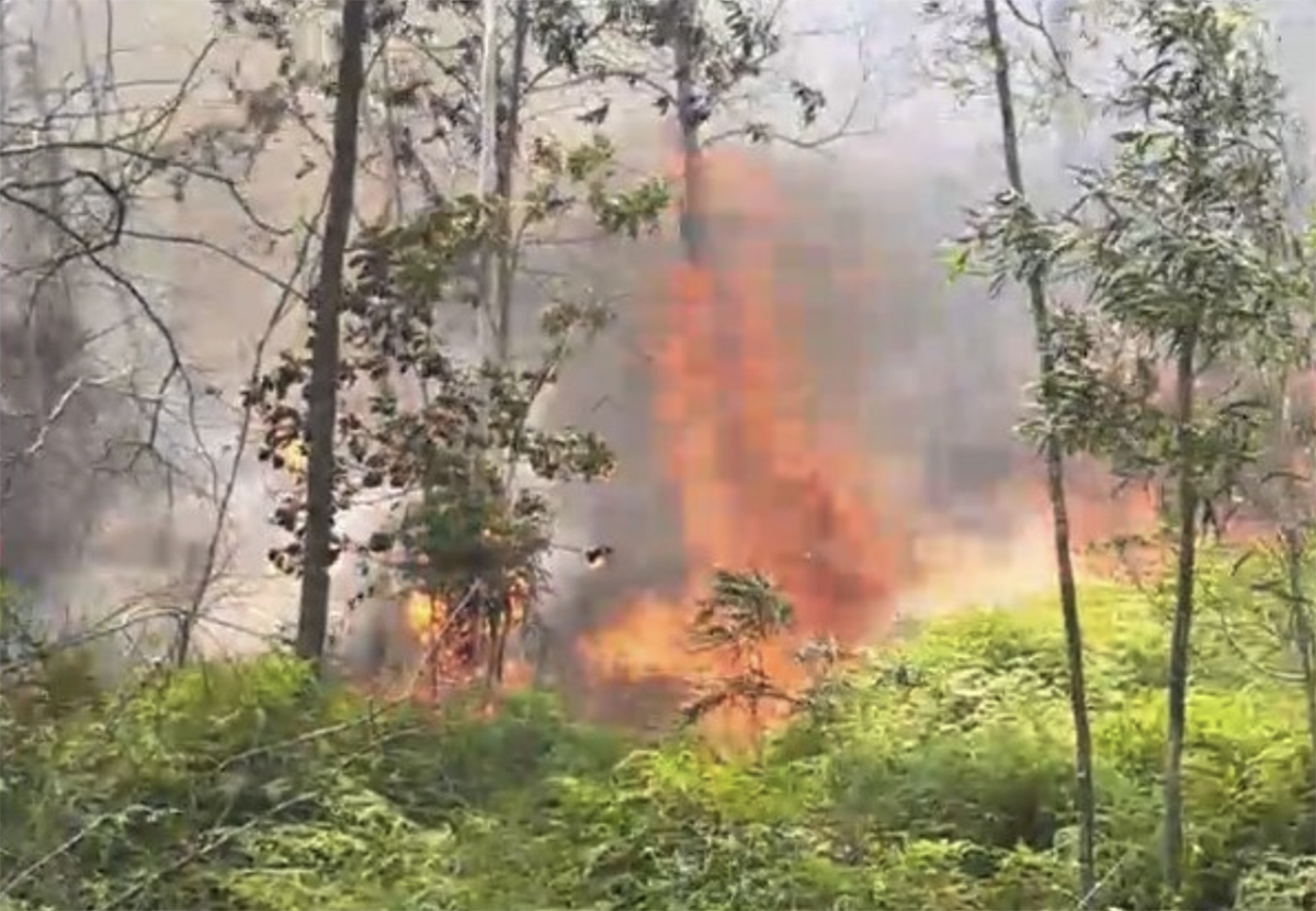 Forest fire near cemetery