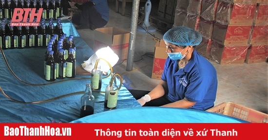 “Thổi hồn” để sản phẩm nông thôn vươn xa