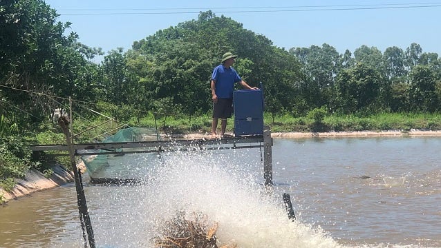 Sustainable development direction of aquaculture in Hanoi