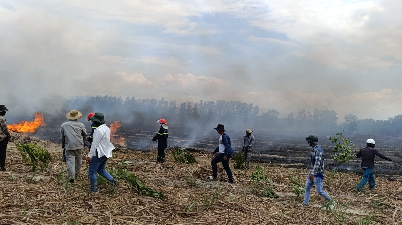 Khánh Hòa: 90 ha rừng, mía ở TX.Ninh Hòa bị lửa thiêu rụi- Ảnh 2.