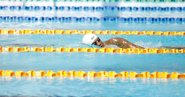 Swimming won 6 gold medals, set a series of records