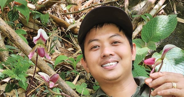 Cruzando el bosque para buscar "flores extrañas" en las Tierras Altas Centrales