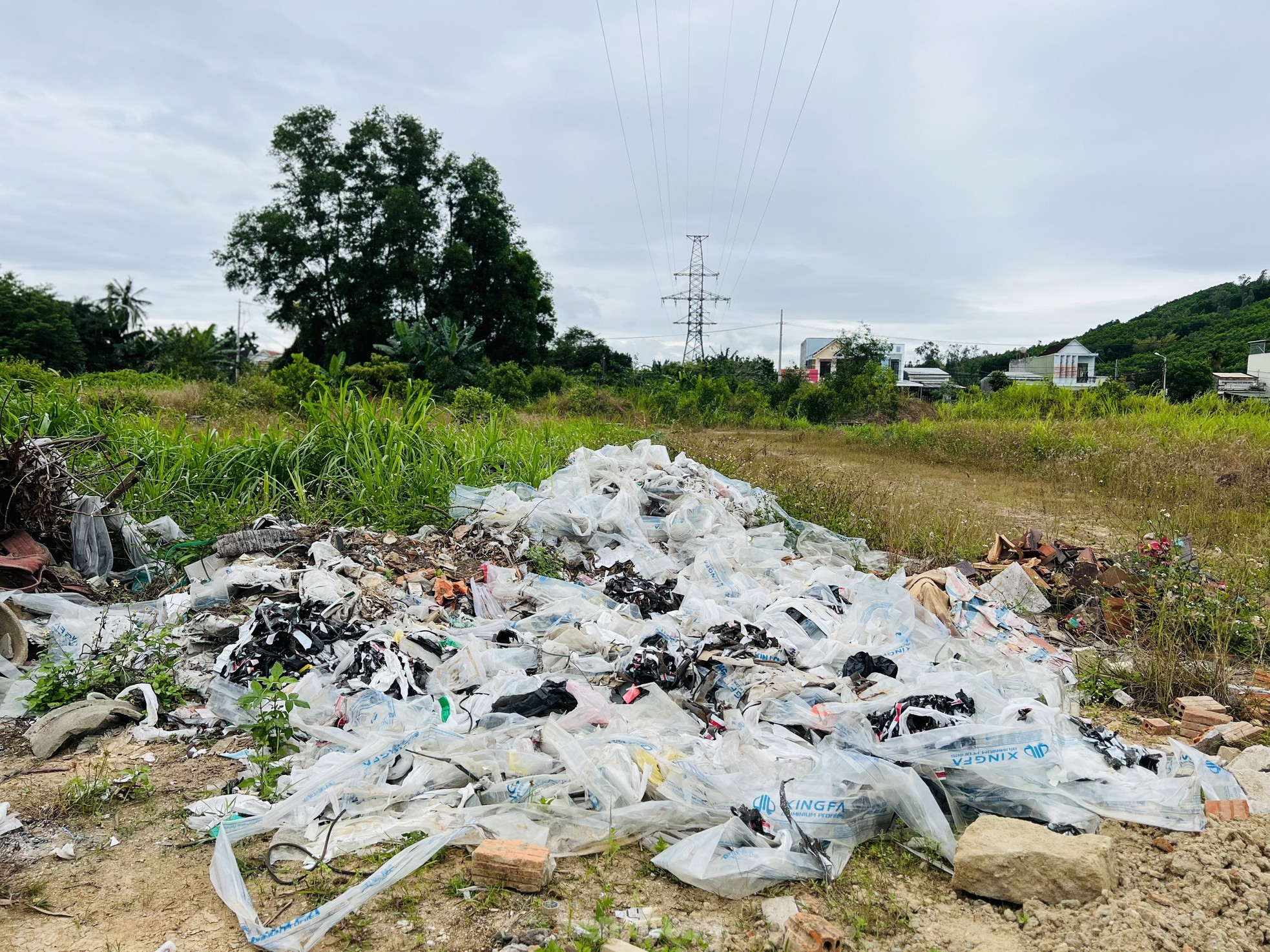 Pasto crecido y basura acumulada en un proyecto residencial de 400 mil millones de dólares en Quang Ngai, foto 8