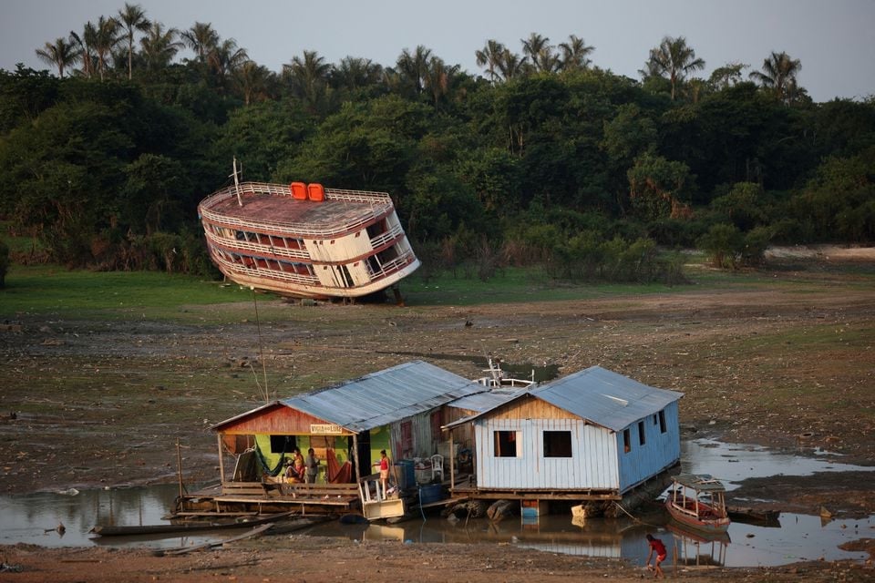 การเปลี่ยนแปลงของสภาพอากาศทำให้เกิดภัยแล้งครั้งใหญ่ในรูปภาพอเมซอน 2