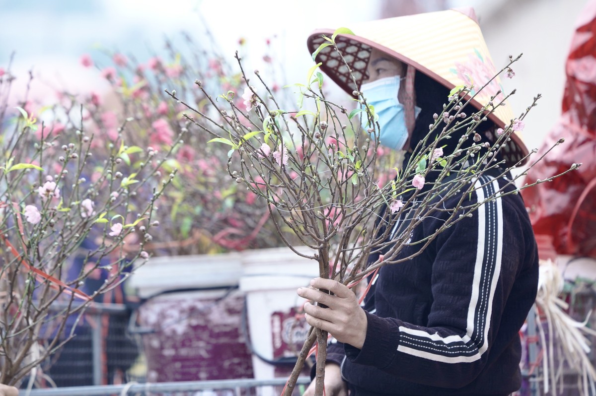 ‘ตาล้า’ ตามหากิ่งและกิ่งท้อ วันที่ 15 เดือน 12 จันทรคติ ภาพที่ 6