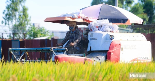 Agribank chủ lực cấp tín dụng lãi suất thấp