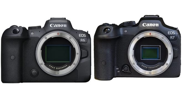 Crop camera and Full-frame camera, which one should I use?