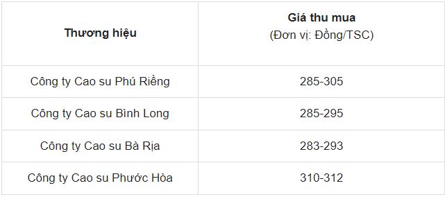 Dự báo giá cao su ngày 31/5/2024: Tiếp tục mức tăng khủng?