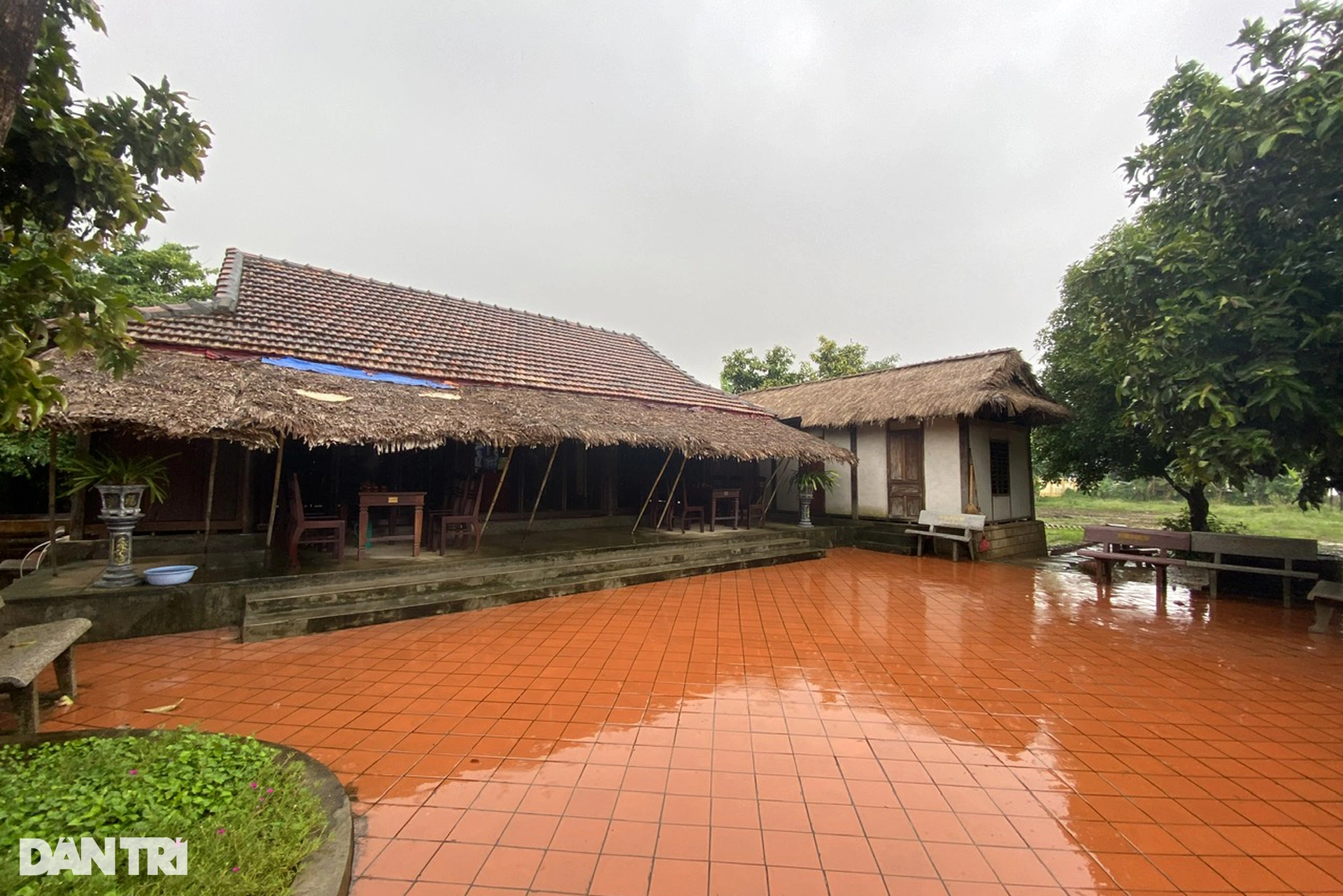 La casa sencilla y el antiguo árbol de carambola asociados con la infancia del general Vo Nguyen Giap