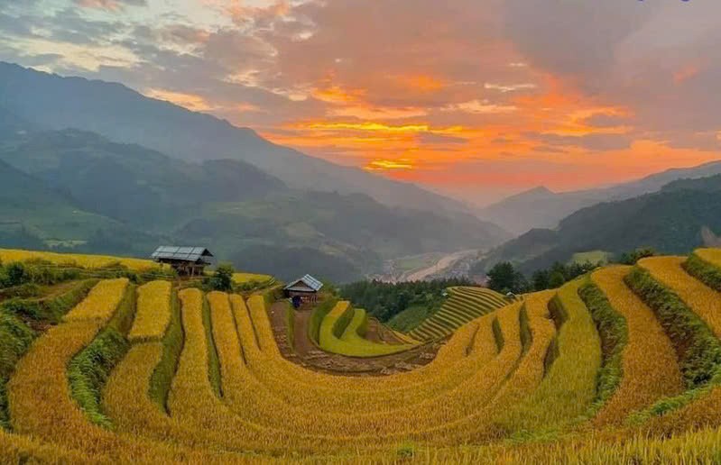 Coming to Mu Cang Chai to "smell" the scent of rice and admire the golden season