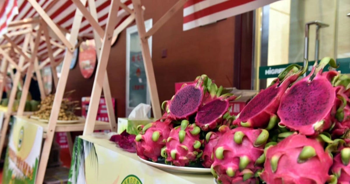 For the first time, Vietnamese fruits have their own festival in Beijing, China.