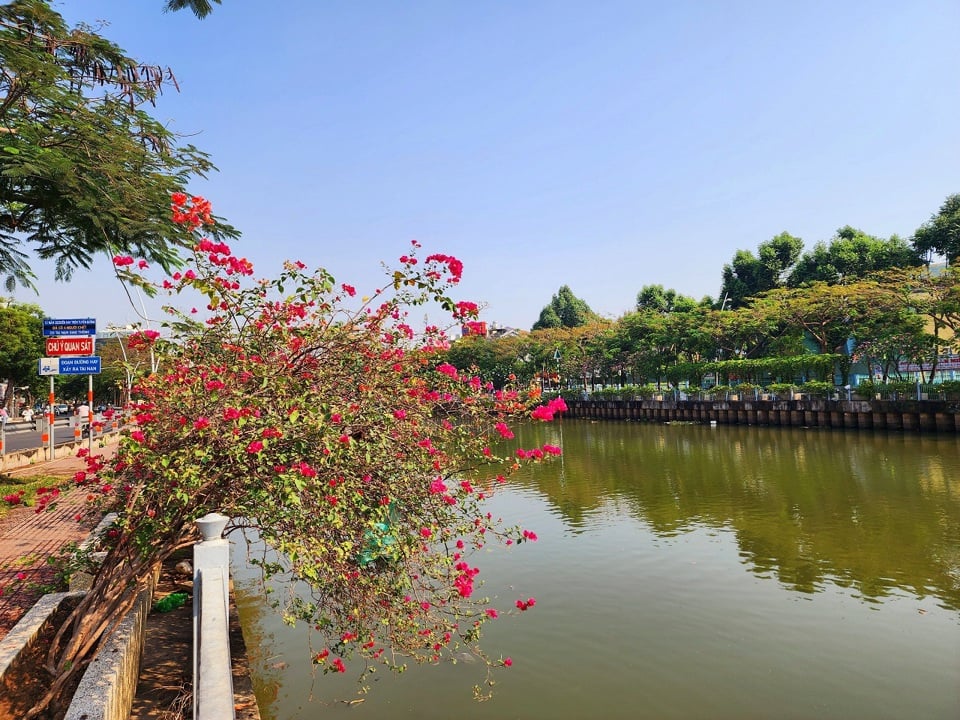 Heimatstadt von Frau Thu Cuc Hanoi-Stadt Noi sagte: „Mir gefällt diese Jahreszeit in Ho-Chi-Minh-Stadt wirklich.“ Minh, die Sonne geht früh auf und 12 Stunden volles Sonnenlicht, Saison hat so viele schöne Blumen, jetzt ist es kalt im Norden, also jedes Jahr, wenn der März kommt ganze Familie Reise nach Ho-Chi-Minh-Stadt Minh, wenn ich durch die bunten Blumenwege gehe, fühle ich mich wieder jung und mehr Chillen” sagte Frau Cuc.