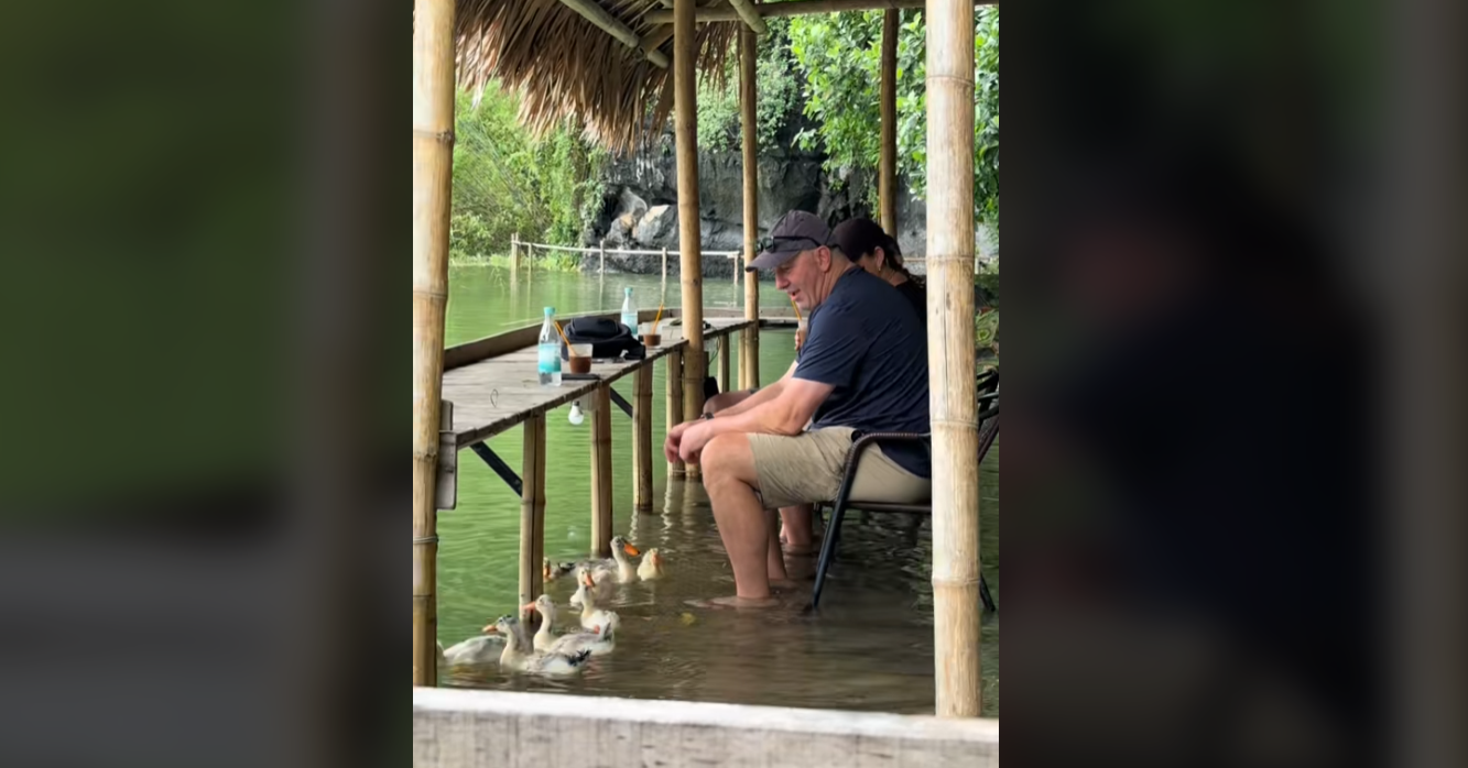 Les touristes occidentaux découvrent le café « éclaboussé » et les canards nagent joyeusement sous leurs pieds à Ninh Binh