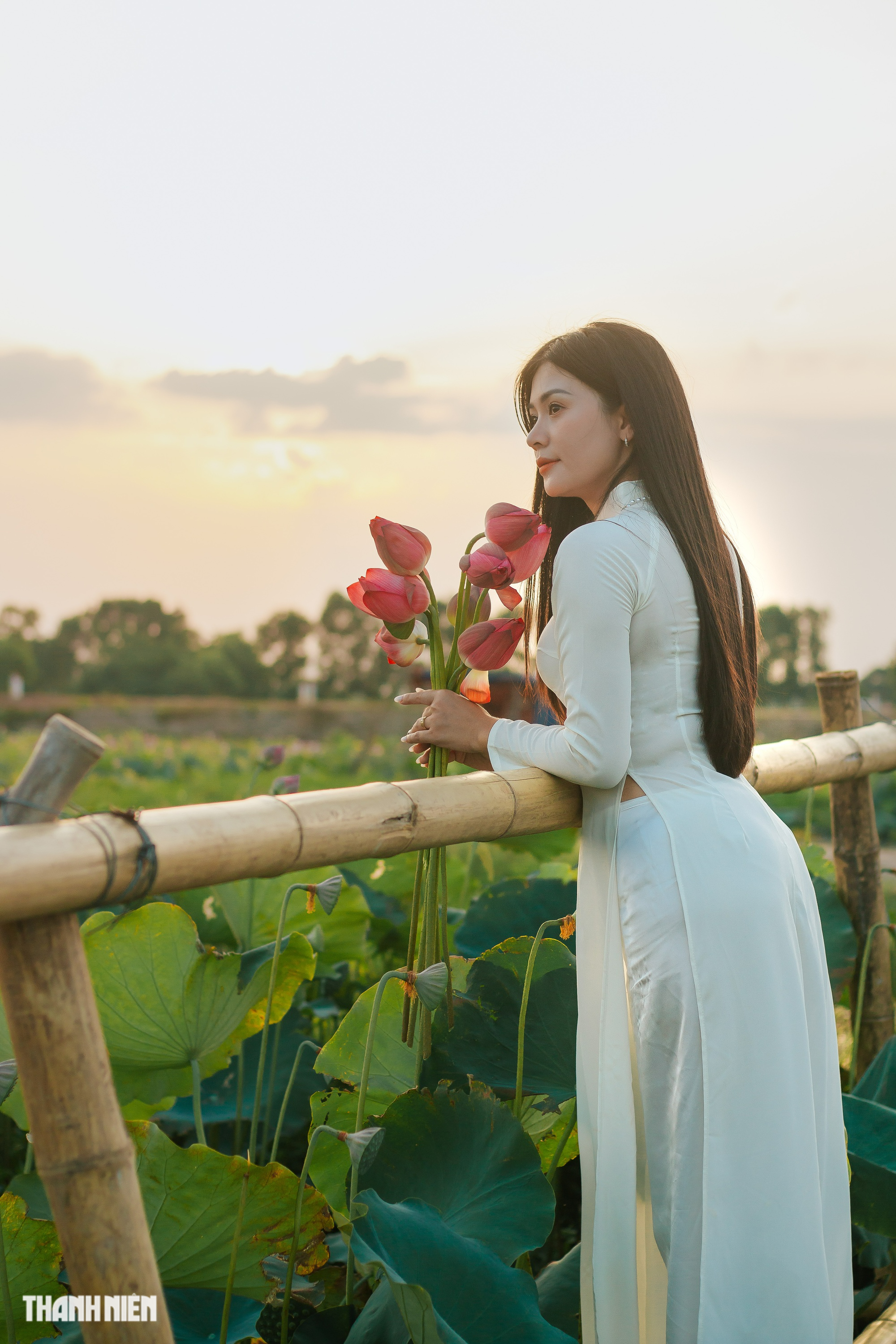 Đầm sen ở vùng quê hút khách đến chụp ảnh tại Quảng Bình - Ảnh 7.