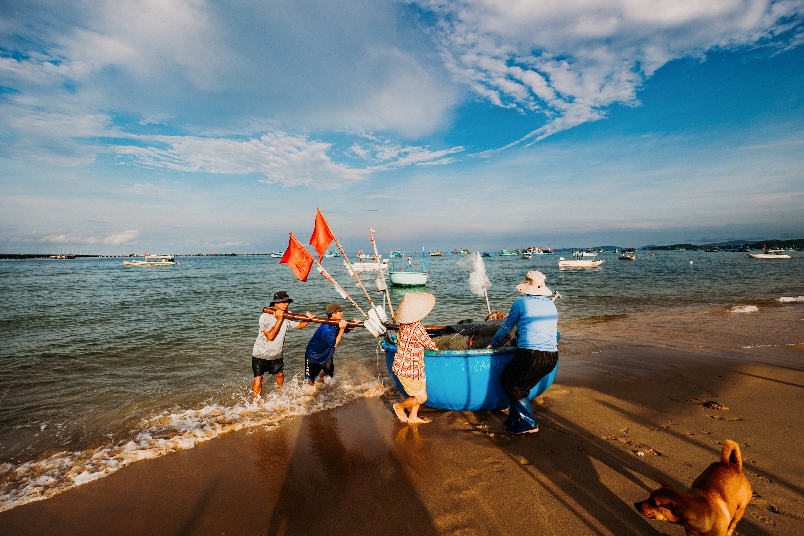 Khung cảnh làng chài nhộn nhịp mùa đặc sản của Phú Quốc- Ảnh 3.