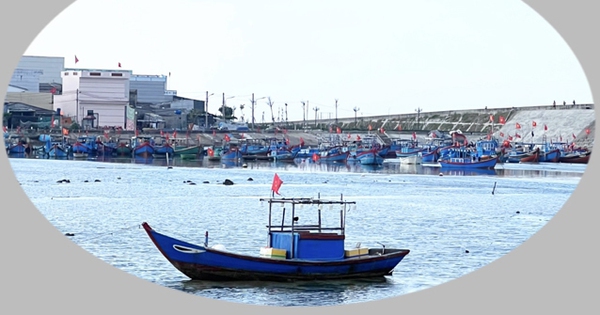 Las autoridades de la provincia de Quang Ngai instan a completar la "eliminación de los barcos pesqueros prohibidos"