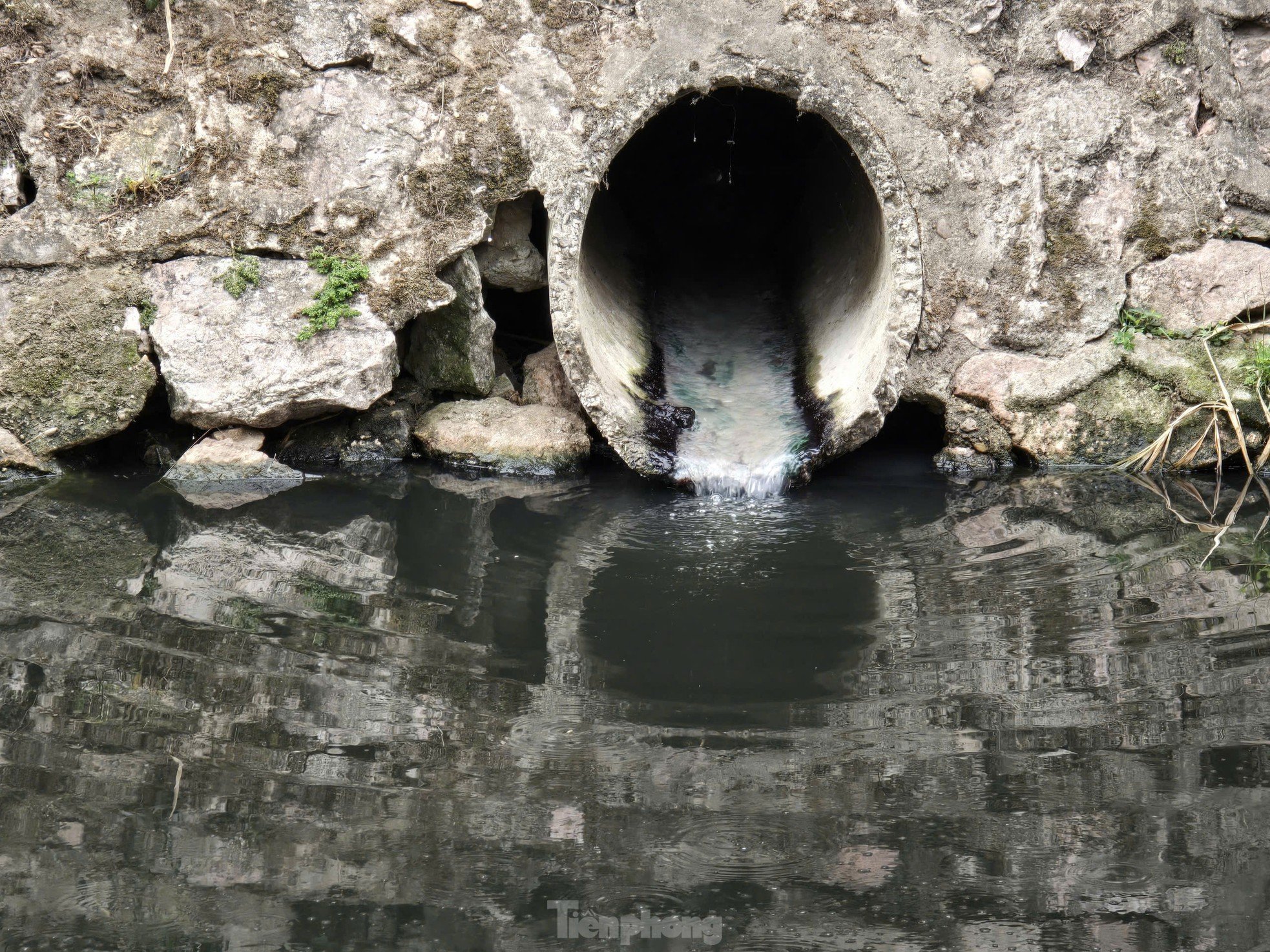 Grave contaminación, muchos lagos de Hanoi 'piden ayuda' (foto 4)