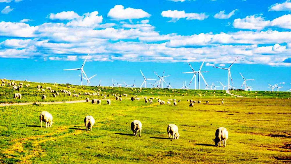 Un parc éolien en Allemagne. Photo : ALAMY STOCK PHOTO