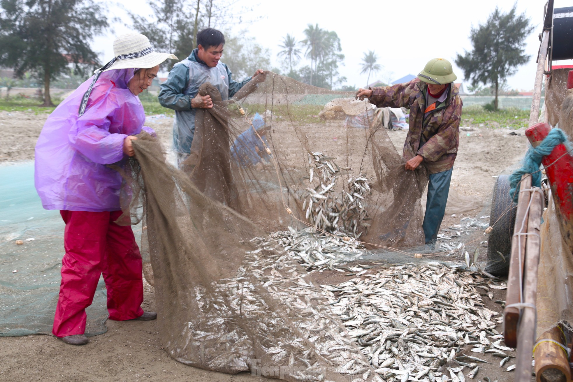 真夜中の波間を釣り、「高タンパク」の魚を捕まえる。漁師の手は魚を外すのに疲れている。写真6