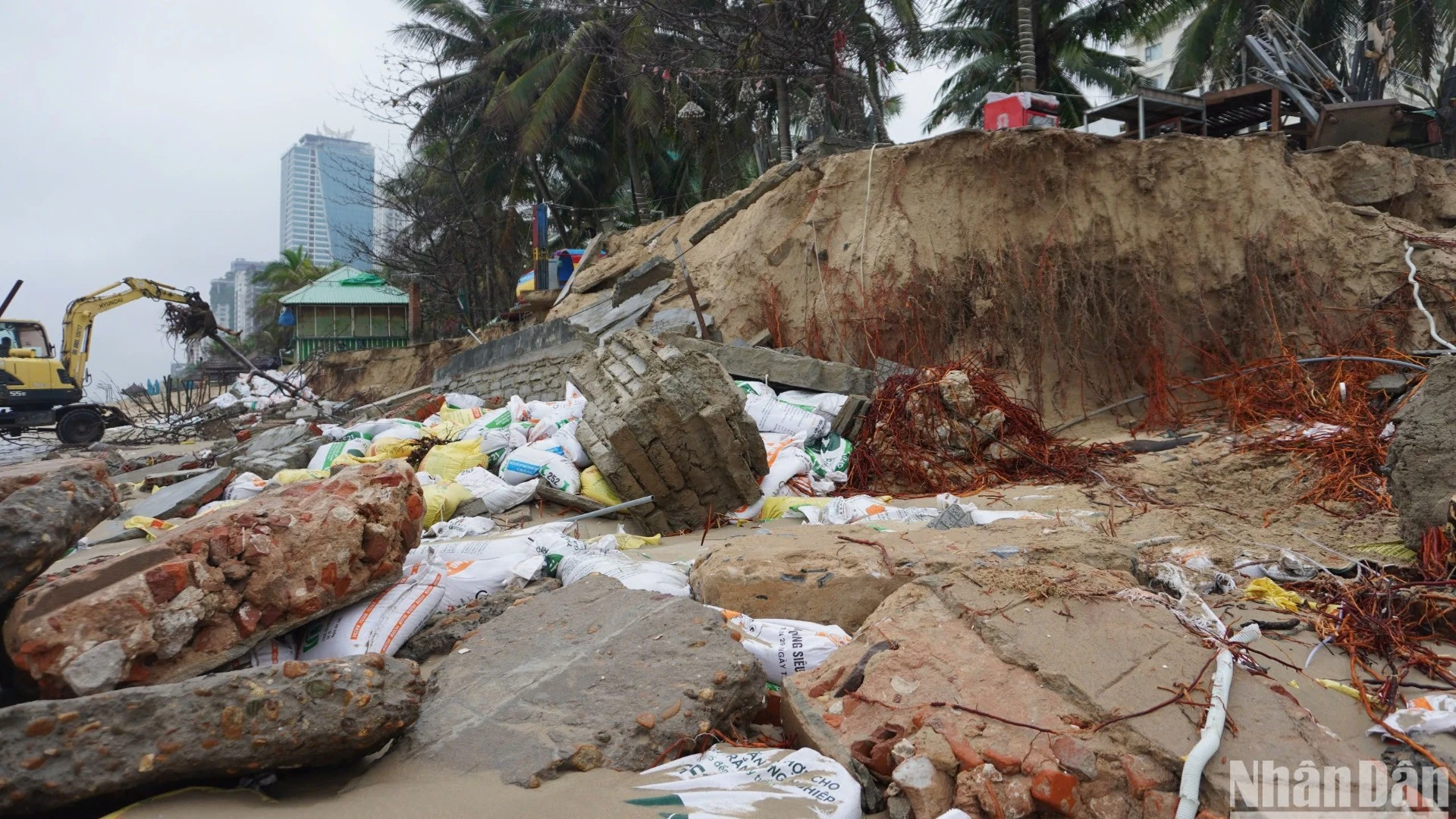 [Photo] More than 100m of Da Nang coastline was eroded by waves, seriously damaged photo 8