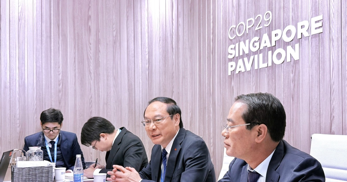 Vietnam wishes to promote environmental protection cooperation with Singapore