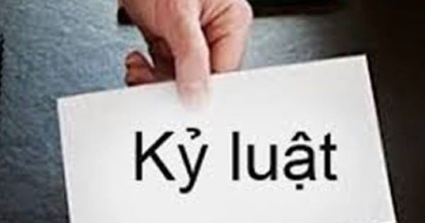 ¿Por qué fue disciplinado el subdirector del Departamento de Recursos Naturales y Medio Ambiente de la provincia de Quang Tri?