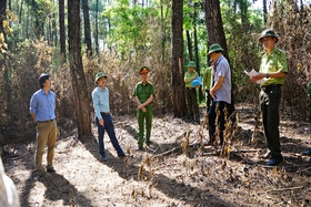 Inspección de las labores de prevención y extinción de incendios forestales en el distrito de Vinh Linh