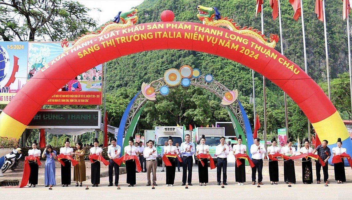 Sơn La: Xây dựng chuỗi liên kết sản xuất, thanh long ruột đỏ rộng mở đầu ra