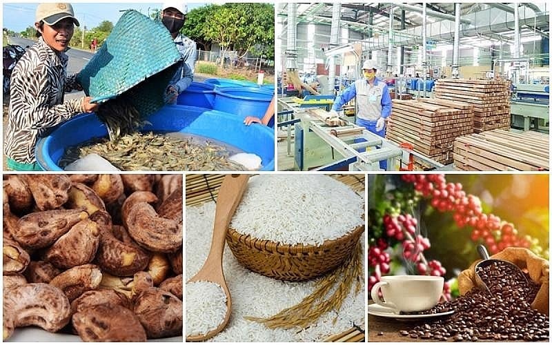 5 months: Agricultural, forestry and fishery exports earn 24.14 billion USD