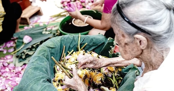 Une femme de 101 ans et le secret de la conservation du « meilleur thé du monde » qui se vend bien depuis 2 siècles