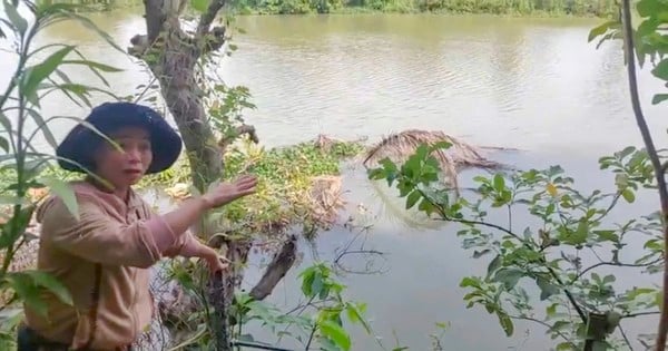 People in Binh Dinh live in fear of their houses collapsing into the river.