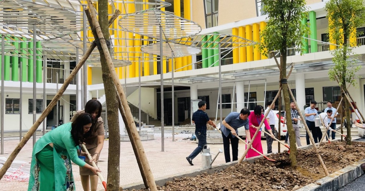 Centrarse en invertir en escuelas estándar