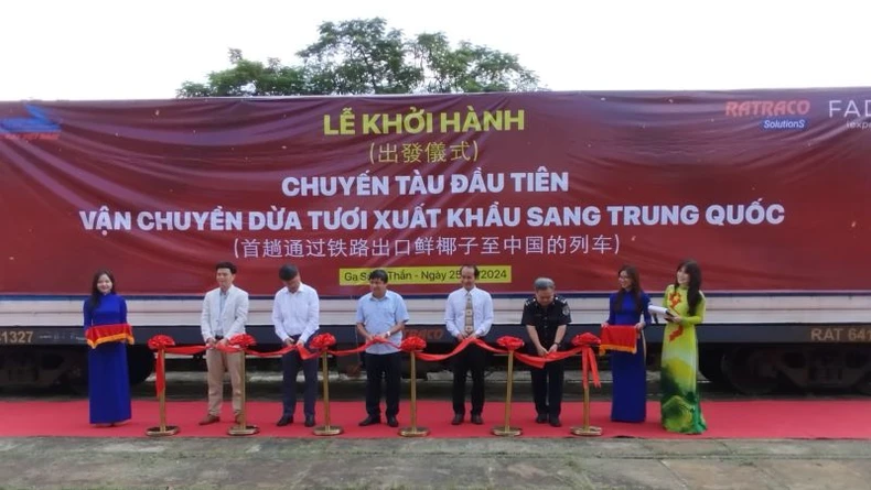 Khởi hành chuyến tàu đầu tiên xuất khẩu dừa tươi từ miền nam sang Trung Quốc ảnh 2