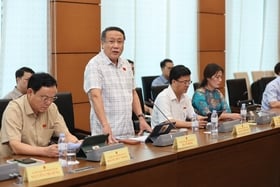 National Assembly Deputy Ha Sy Dong: It is necessary to synchronously review the legal system to tighten and limit cases that cause serious losses to the financial system.