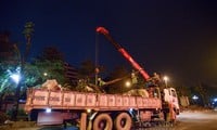 Durante la noche, se talaron y trasladaron más de 400 árboles para ampliar las carreteras de Hanoi.