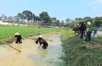 Les touristes sont ravis de vivre l’expérience d’être un agriculteur lors d’une visite agricole. (Photo : C.-B.)