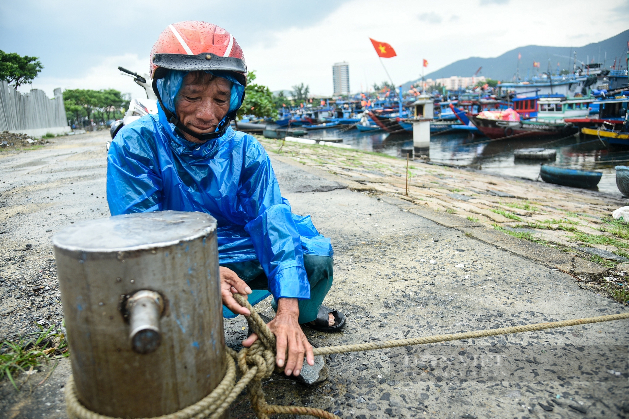 Bão Trà Mi áp sát, ngư dân Đà Nẵng hối hả vào bờ, neo đậu tàu thuyền tránh bão- Ảnh 4.