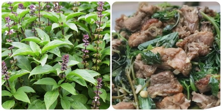 Rau húng quế có thể chế biến thành nhiều món ăn ngon
