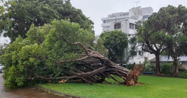 As Japan heats up to 40 degrees Celsius, Typhoon Khanun continues to put pressure