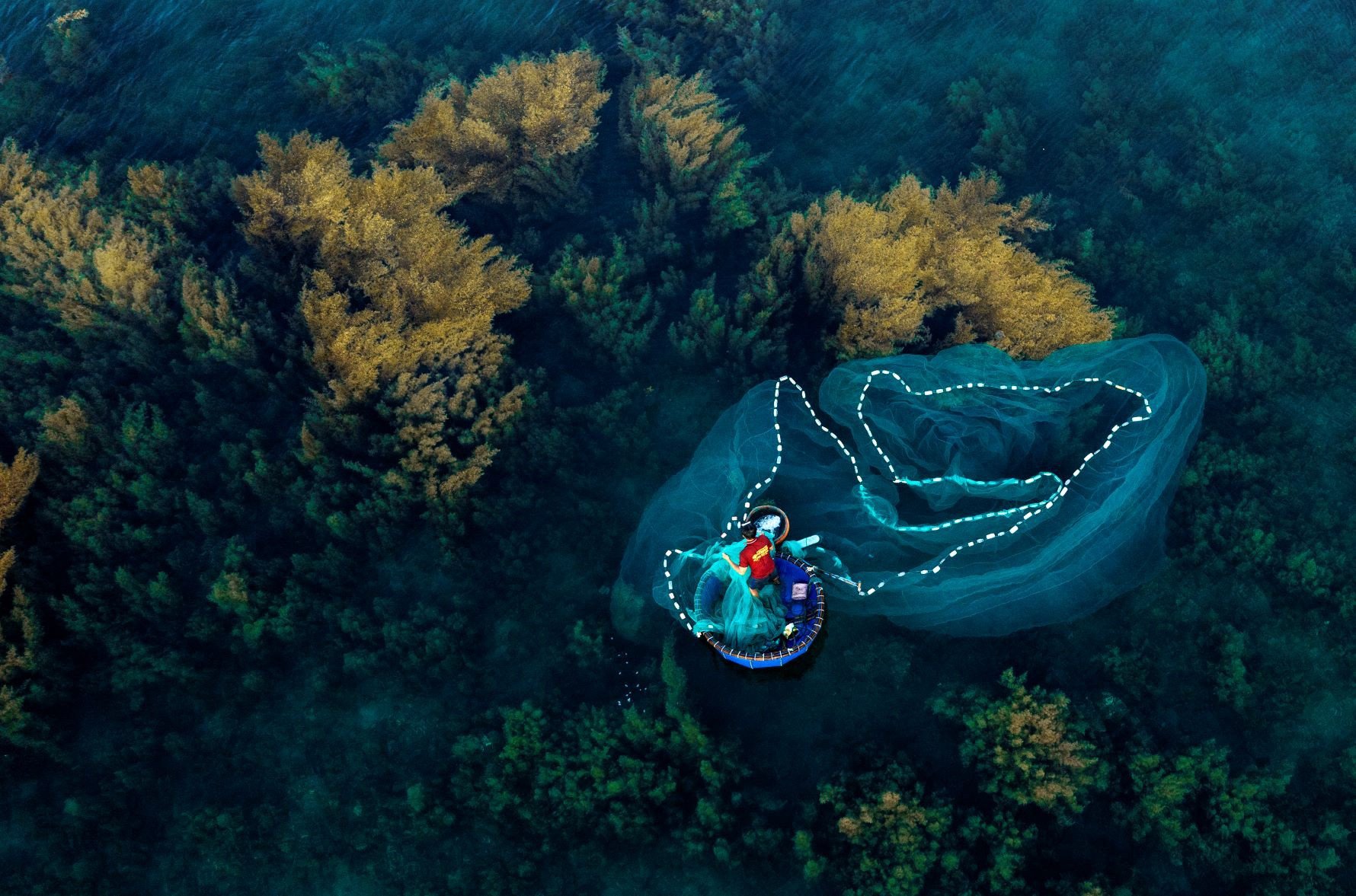 Boating on seaweed fields in Quy Nhon