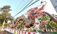 Observando a los 'primeros dragones gemelos' de Binh Duong en el proceso de establecer un récord vietnamita