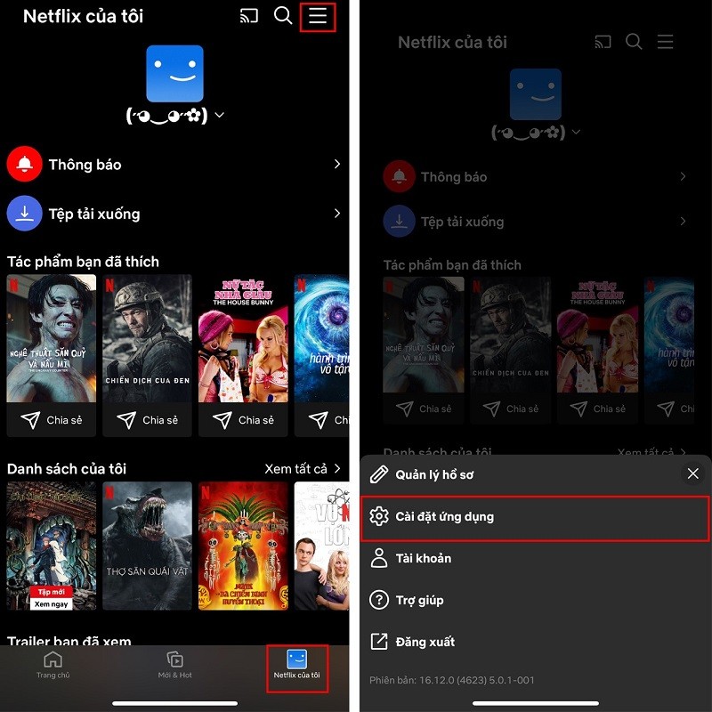 Khắc phục lỗi Netflix không phát ở chế độ HD cực đơn giản