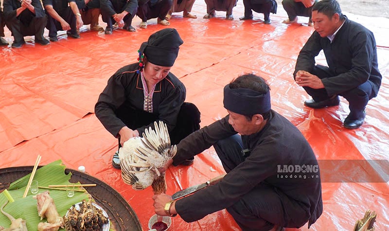 Trong phần lễ, mâm lễ cúng gồm có: thịt lợn, gà, xôi cốm, xôi trắng, 1 nắm bông lúa mới để cài lên ban thờ; trám đen, gừng để cả cây… Sau khi đã sắp xếp mâm cúng xong thầy cúng làm lễ mừng lúa mới, cầu mong sự bình an, không ốm đau, bệnh tật, mong được hạnh phúc, đoàn kết; chăn nuôi, trồng trọt phát triển tốt, con cháu học hành tiến bộ; mùa màng bội thu...