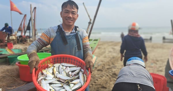 Ra biển kéo trúng một đàn cá bạc má tươi roi rói, dân Hà Tĩnh mang lên bờ người ta tranh nhau mua