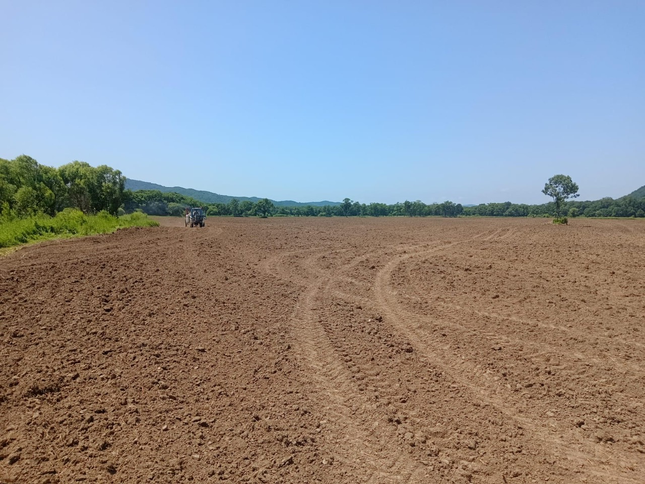 Tập đoàn TH: Bước chân biến đất hoang thành đất lành ở Viễn Đông nước Nga- Ảnh 10.