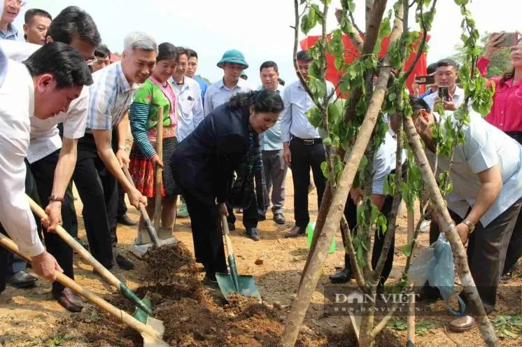 Lai Châu tổ chức gắn biển đường hoa lê ở xã có địa điểm ngắm bình minh đẹp nhất Đông Nam Á- Ảnh 2.