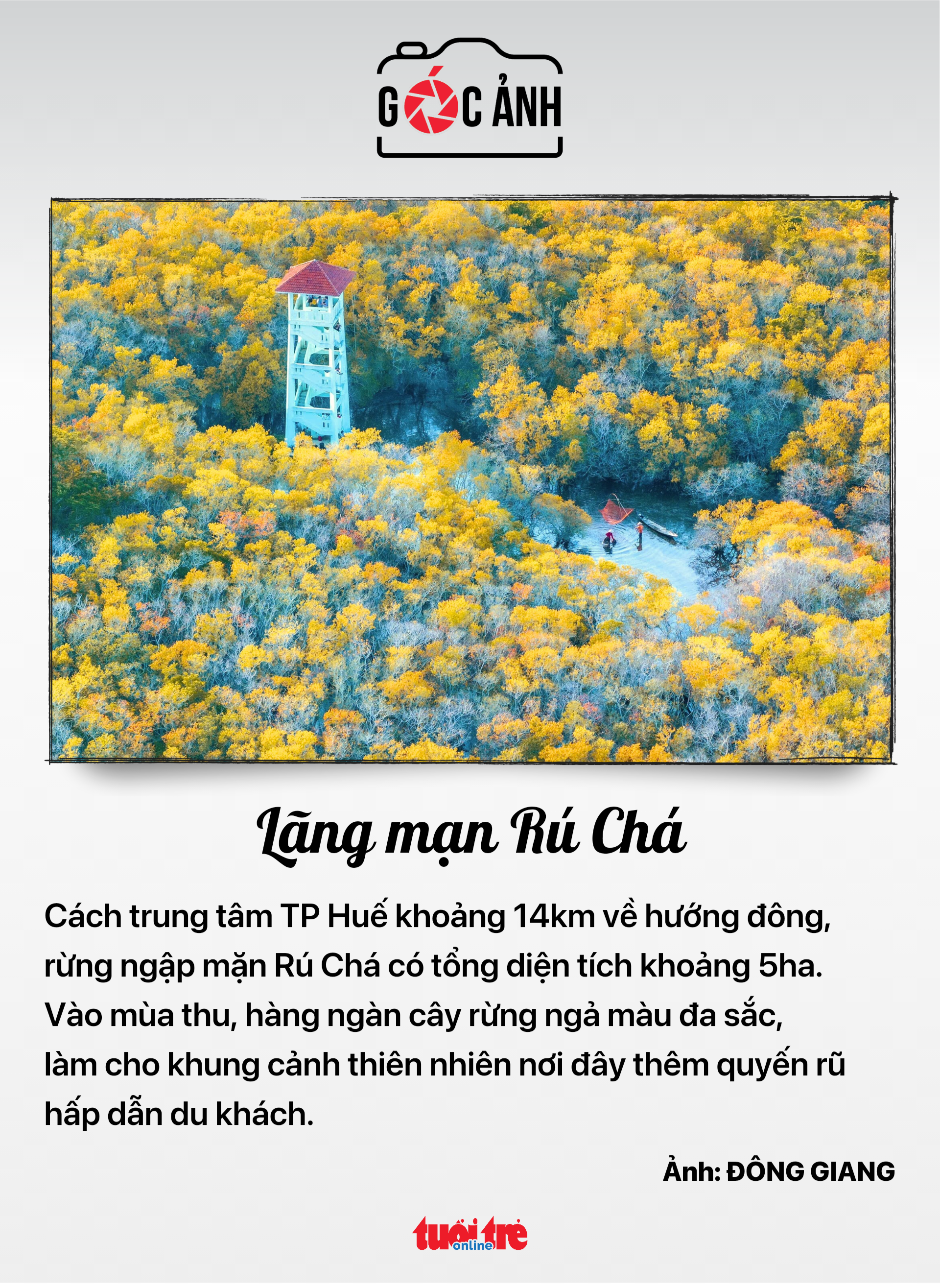 Tin tức sáng 1-10: - Ảnh 9.